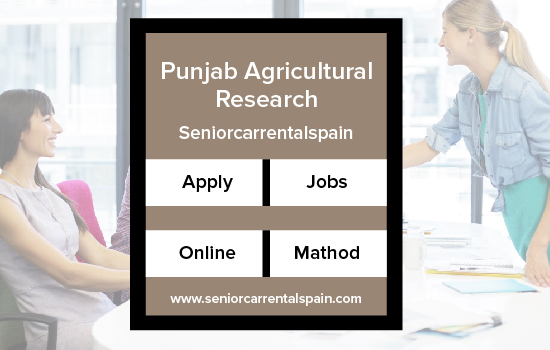 Punjab Agricultural Research Board Jobs 2024