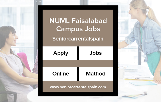 NUML Faisalabad Campus Jobs 2024